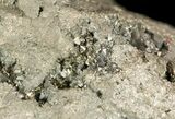 Chunk Of Golden Pyrite (Fools Gold) - Peru #50109-1